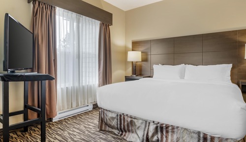 Suite, 1 King Bed, Non Smoking, Kitchenette (Living Room;with Sofabed)