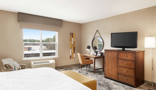 Room, 1 King Bed, Accessible, Non Smoking