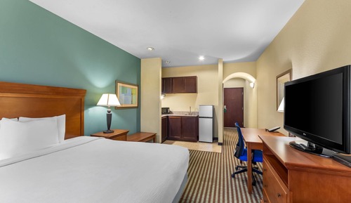 Suite, 1 King Bed, Non Smoking (Efficiency)