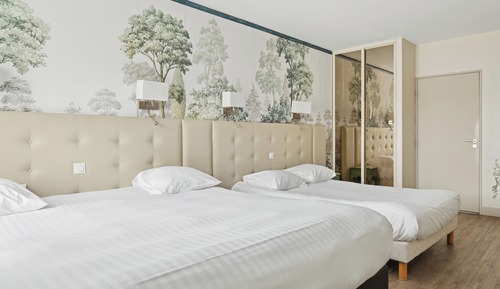 Chambre Supérieure Familiale Dames de Champagne