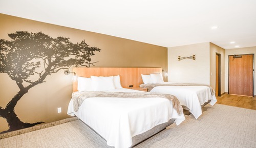 Elite Room, 2 Queen Beds, Refrigerator & Microwave, Desert View