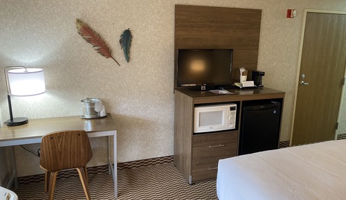 Traditional Room, 1 Queen Bed, Refrigerator & Microwave, Desert View