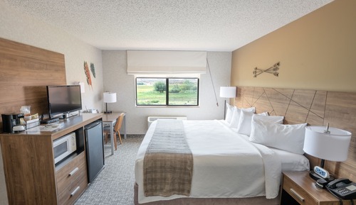 Traditional Room, 1 King Bed, Refrigerator & Microwave, Desert View