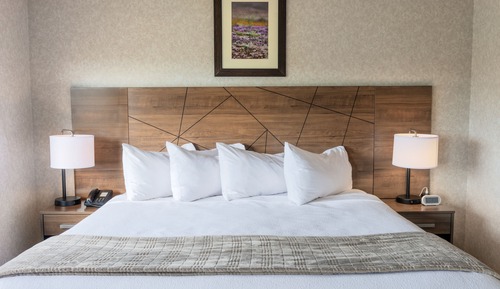Junior Suite, 1 King Bed with Sofa bed, Jetted Tub, Desert View