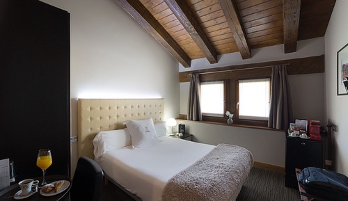 Basic Double Room