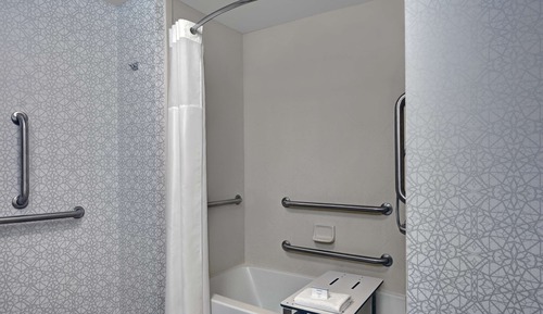 Room, Accessible, River View