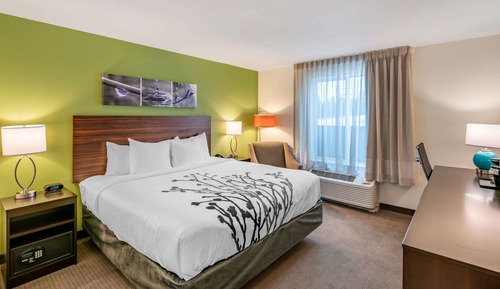 Standard Room, 1 King Bed, Non Smoking