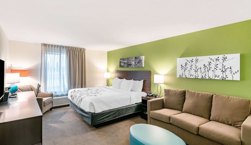 Standard Room, 1 King Bed with Sofa bed, Non Smoking