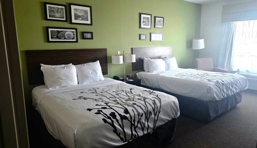 Basic Double Room