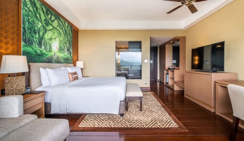 Deluxe Room, 1 Queen Bed, Mountain View