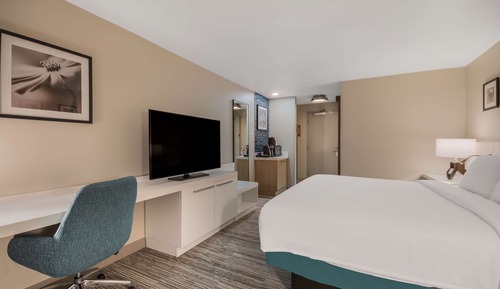 Room, 1 King Bed (Top Floor)