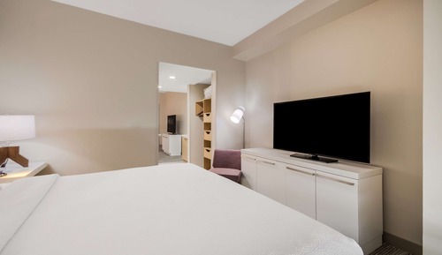 Room, 1 King Bed with Sofa bed