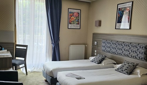 Superior Double or Twin Room