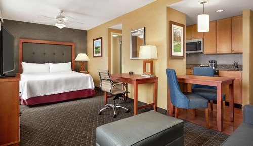 Suite, Accessible (Roll-in Shower)