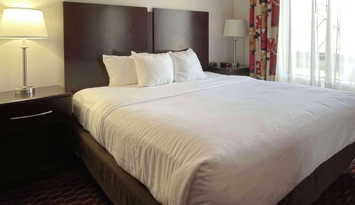 Suite, 1 King Bed with Sofa bed, Accessible, Non Smoking