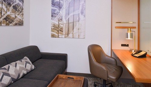 Studio, 1 King Bed with Sofa bed