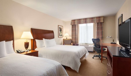 Two queens evolution rm