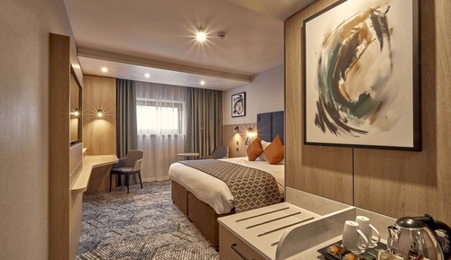 Standard Room, 1 King Bed, Accessible