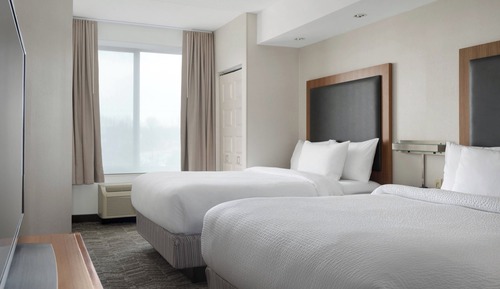 Studio, Multiple Beds (Mobility/Hearing Access, Transf Shwr)