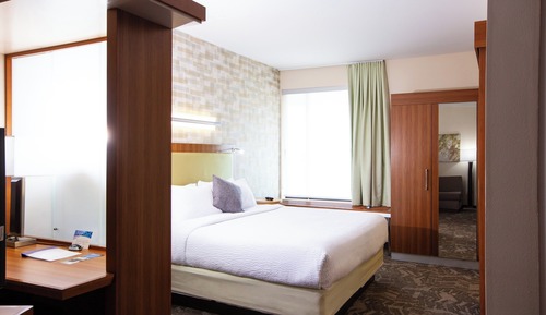 Studio, 1 King Bed with Sofa bed (Mobility/Hearing Access, Roll-in Shwr)