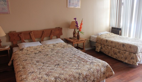 Standard Room, 1 Queen and 1 Single bed