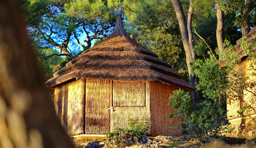 Standard Bungalow