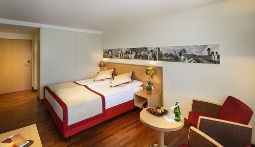 Standard Room, 1 Double Bed (Standard Double Room without Balcony )