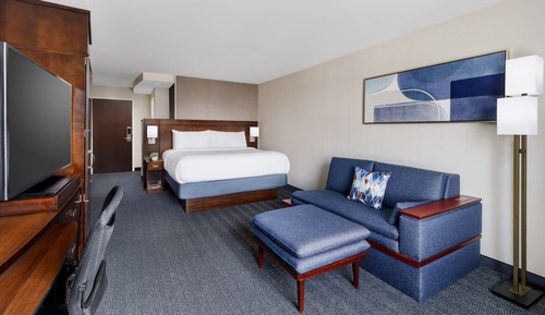 Room, 1 King Bed with Sofa bed