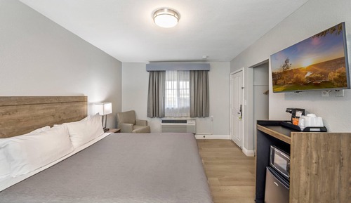 Standard Room, 1 King Bed, Non Smoking
