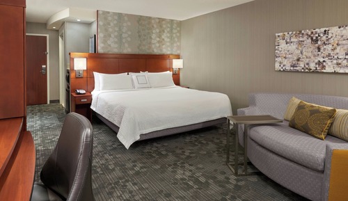 Room, 1 King Bed with Sofa bed