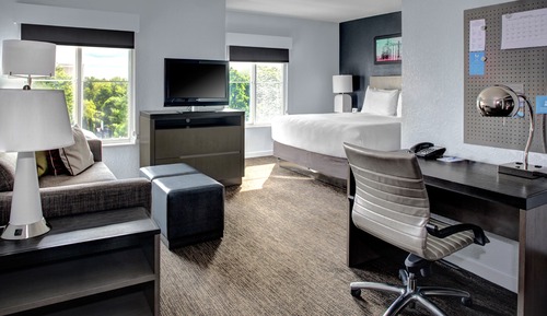 Studio, 1 King Bed with Sofa bed