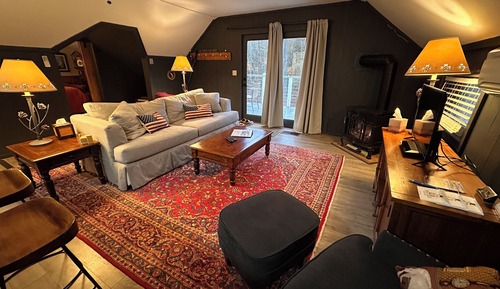 Panoramic Suite, 1 Queen Bed with Sofa bed, Balcony, River View