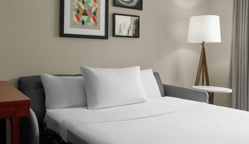 Studio, 1 King Bed with Sofa bed