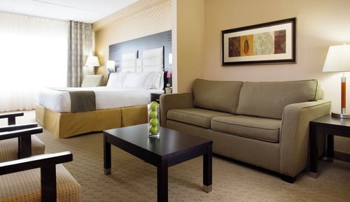 Suite, 1 King Bed, Accessible Bathtub (Wheelchair)
