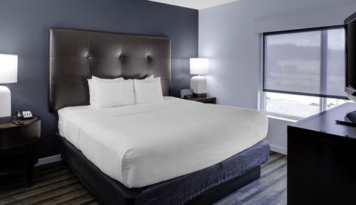 Studio, 1 King Bed