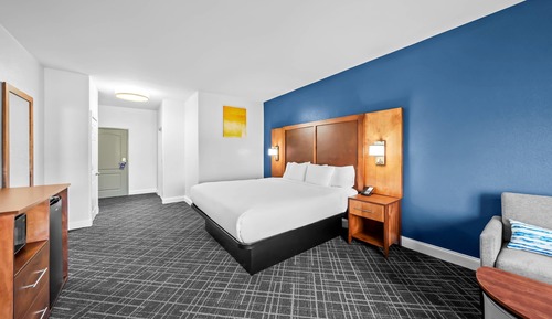 Room, 1 King Bed, Accessible, Non Smoking (Roll-In Shower)