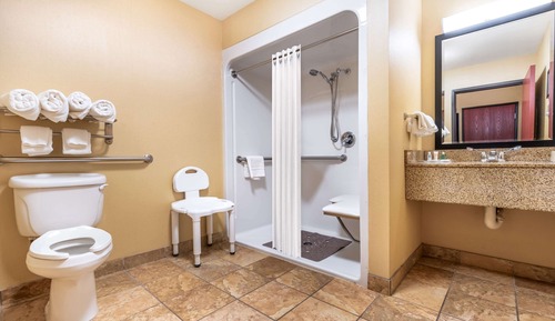 Suite, 1 King Bed with Sofa bed, Accessible, Non Smoking (Roll-In Shower)