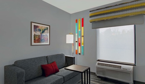 Studio, 1 King Bed, Accessible, Non Smoking