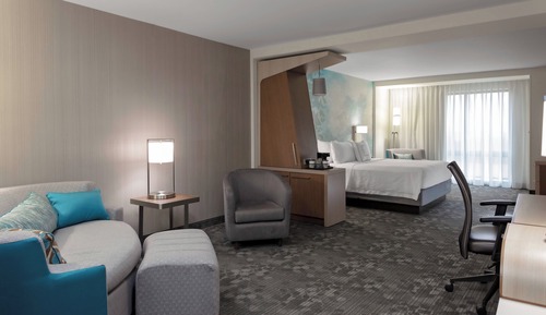 Suite, 1 King Bed with Sofa bed