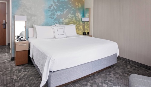Room, 1 King Bed with Sofa bed