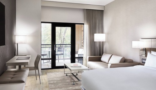 Room, 1 King Bed with Sofa bed