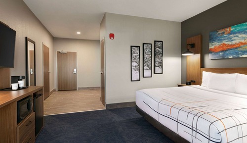 Room, 1 King Bed, Accessible, Non Smoking (Mobility/Hearing, Roll-In Shower)