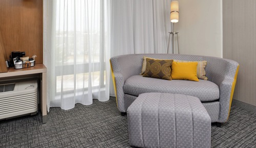Room, 1 King Bed with Sofa bed