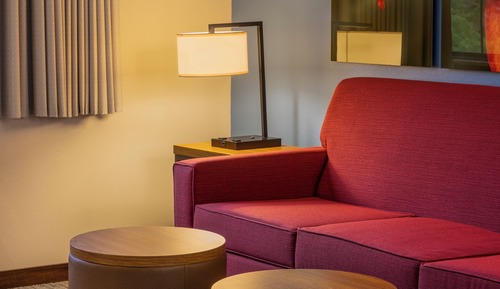 Suite, 1 King Bed with Sofa bed (King Fireplace Suite)