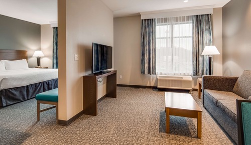 Suite, 1 King Bed, Non Smoking, Kitchen (with Sofabed, Full Kitchen)