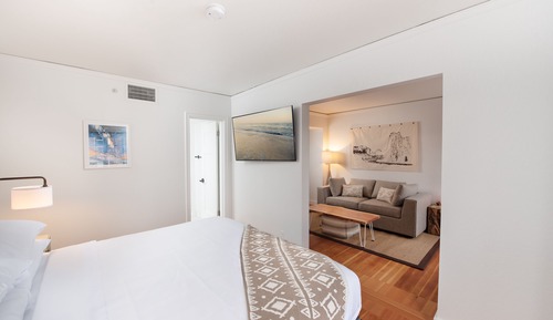 Premium Room, 1 King Bed with Sofa bed