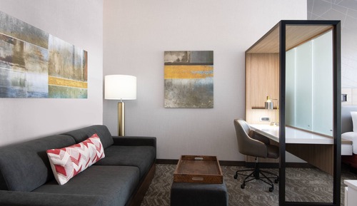 Suite, 1 King Bed with Sofa bed