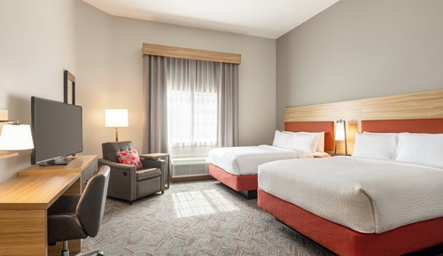 Studio Suite, Multiple Beds