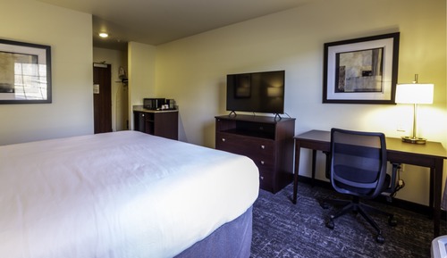 Room, 1 King Bed, Non Smoking (Audible/Visual Assistance)