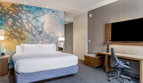 Room, Multiple Beds, Roll-in Shower